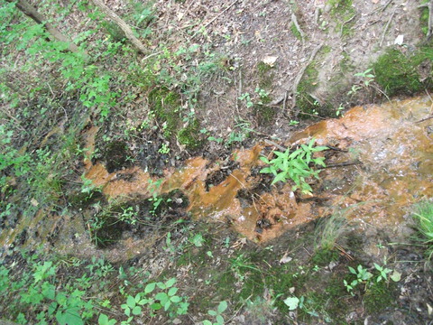 gunk